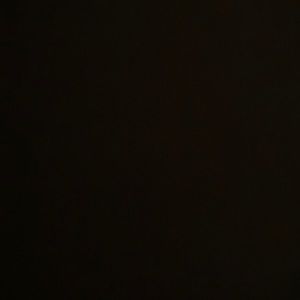 Meet your Posher, Carolina